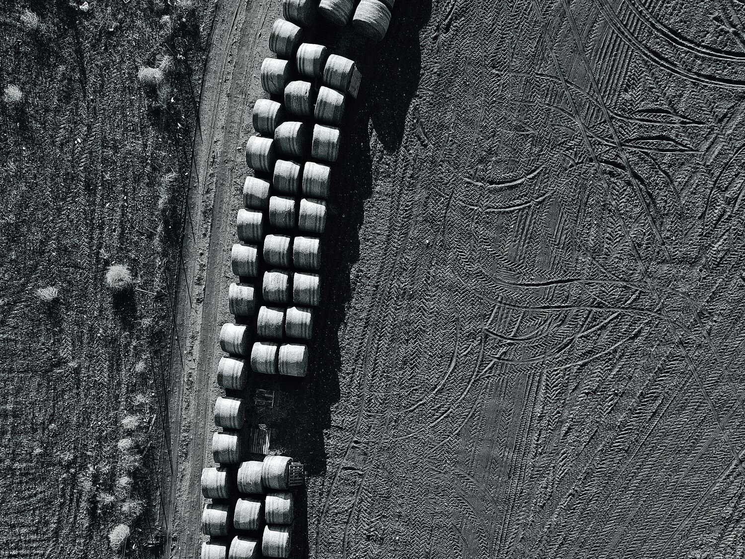 Photo #13832049