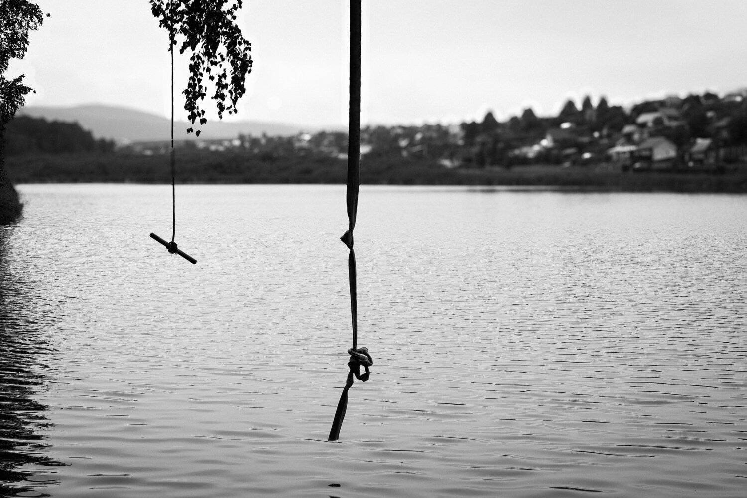 Photo #13832066