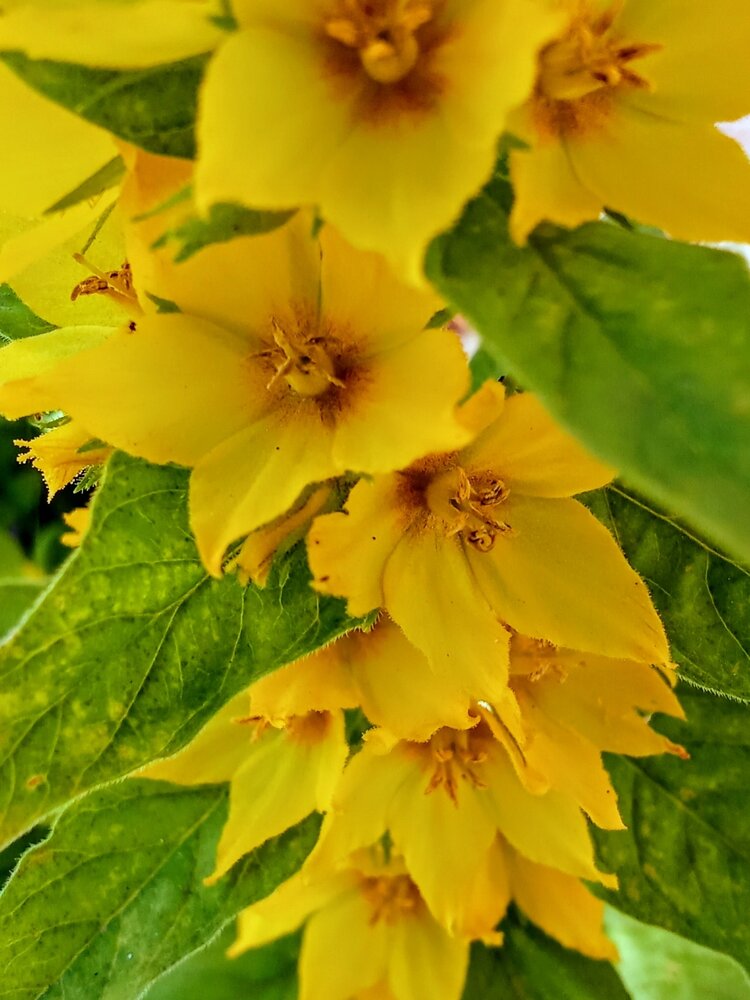 Photograph by Юлия Юлия