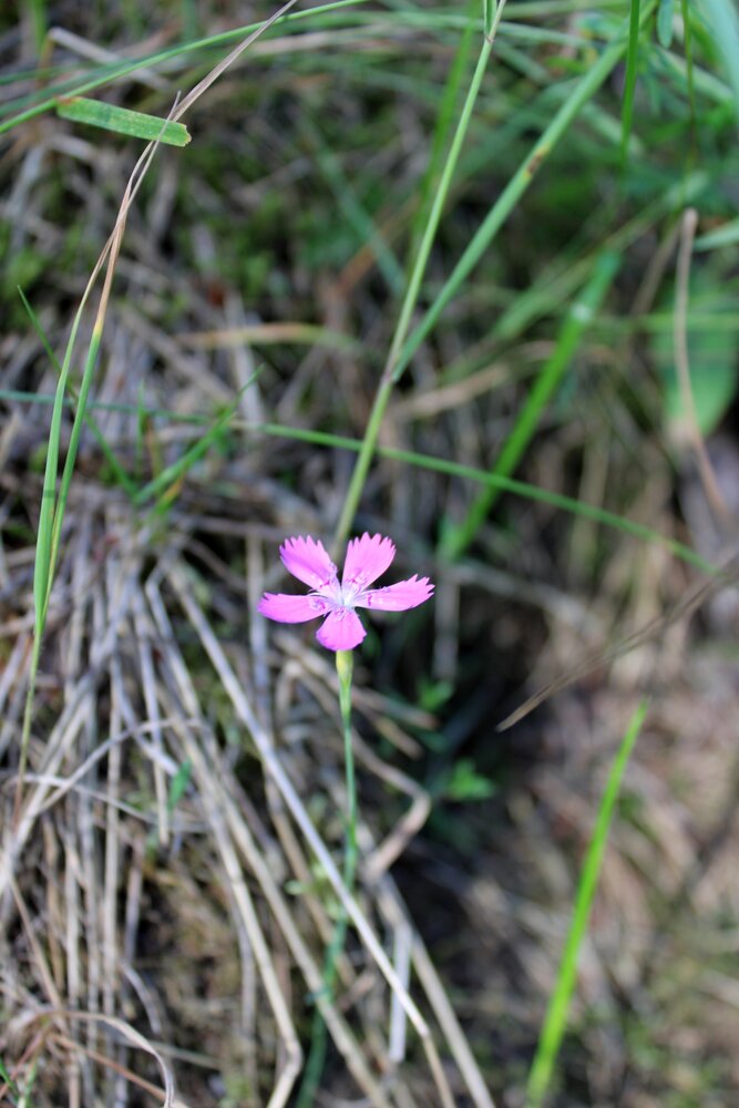 Photograph by Olga Bagaeva