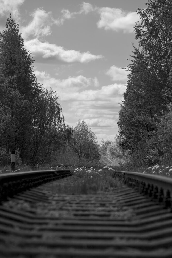 Photograph by Александр Юрьевич С