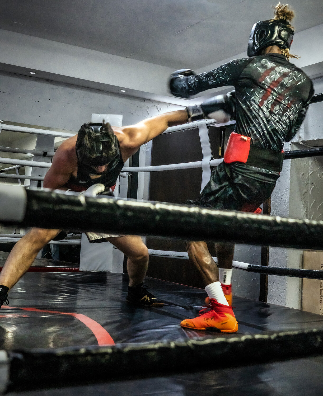 Photo #13832292