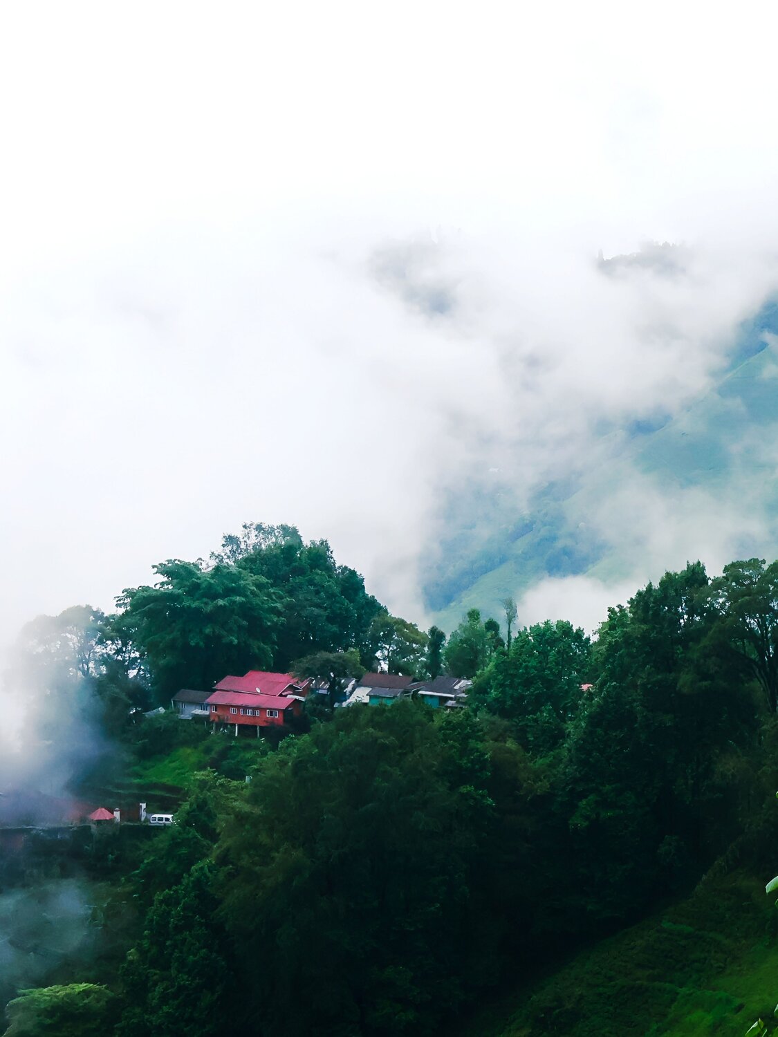 Photo #13832358