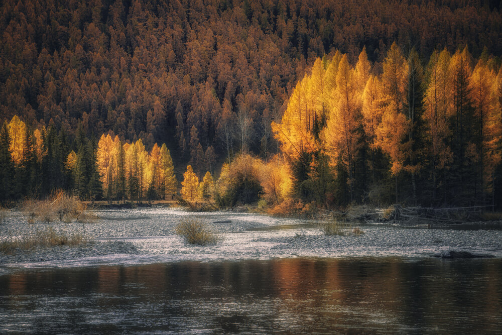 Photograph by Юдинских Марина