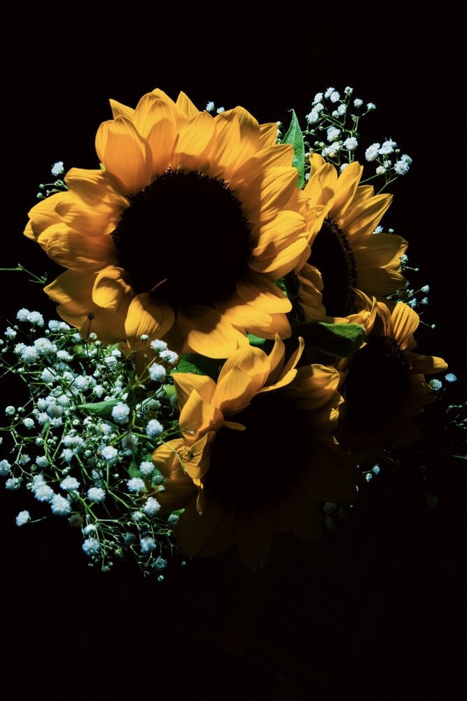 Photograph by Gernico Culmer