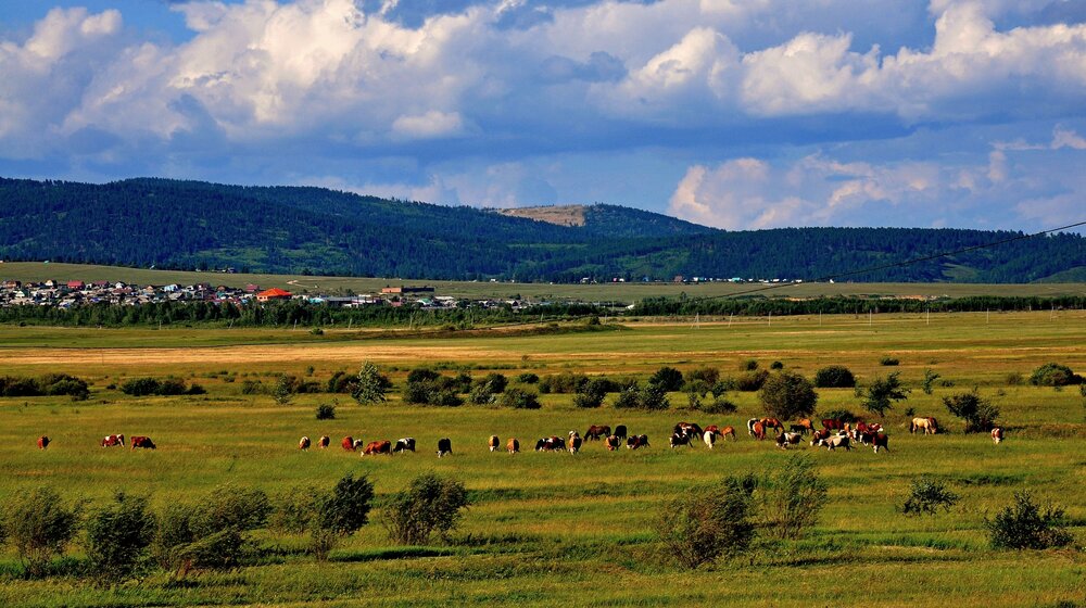 с. Застепь.