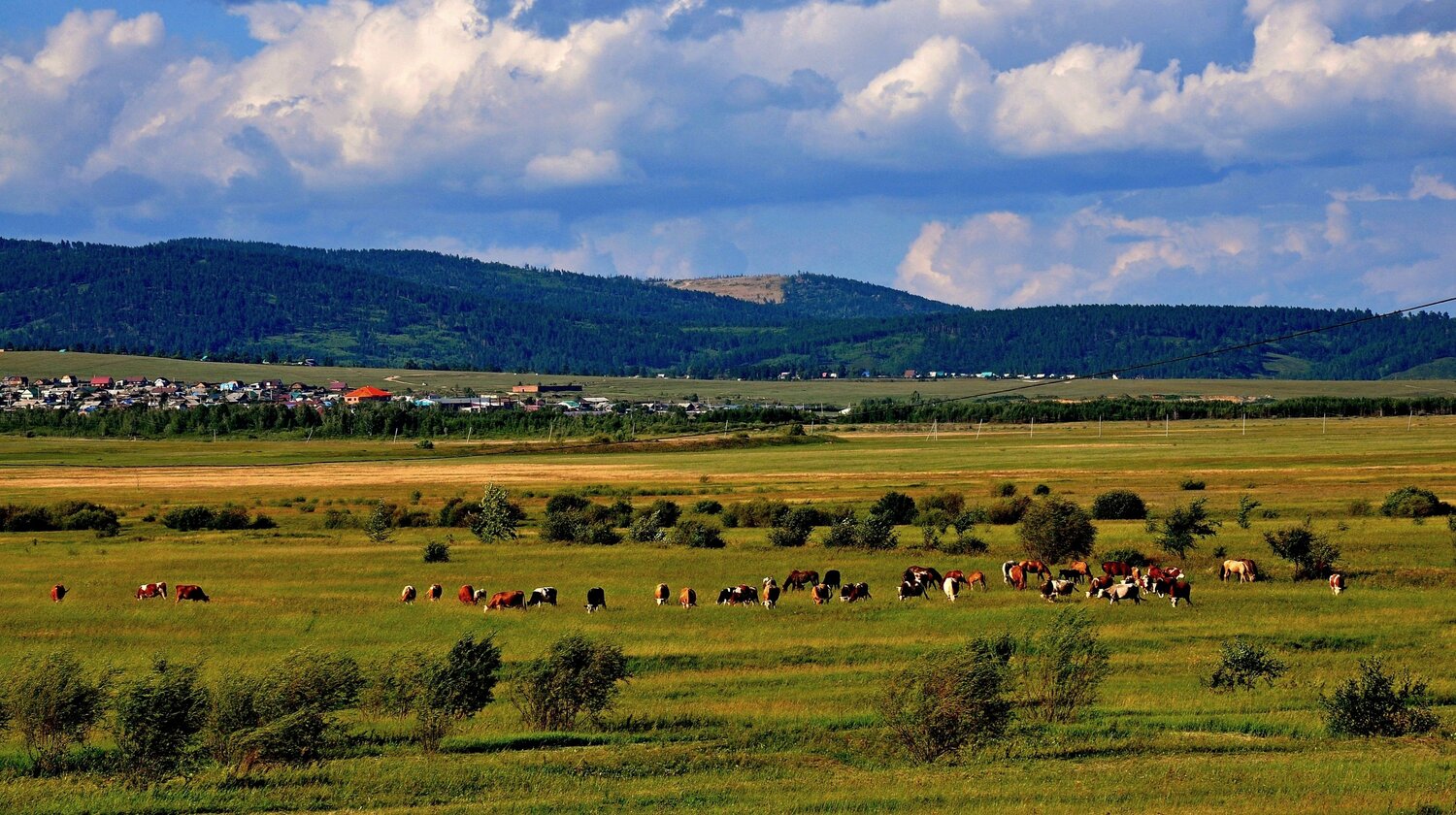 с. Застепь.