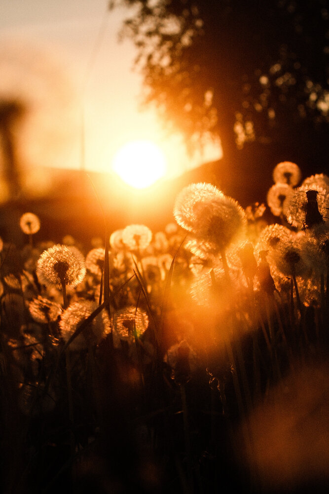 Photograph by Denis Naryshev