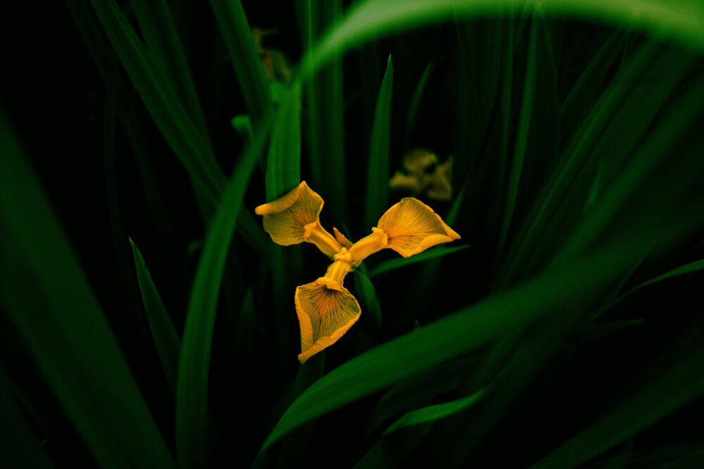 Photograph by Denis Naryshev