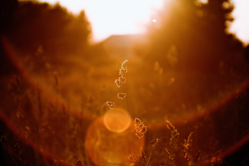 Photograph by Denis Naryshev
