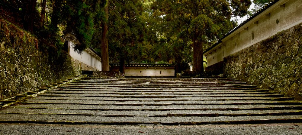 Timeless Steps