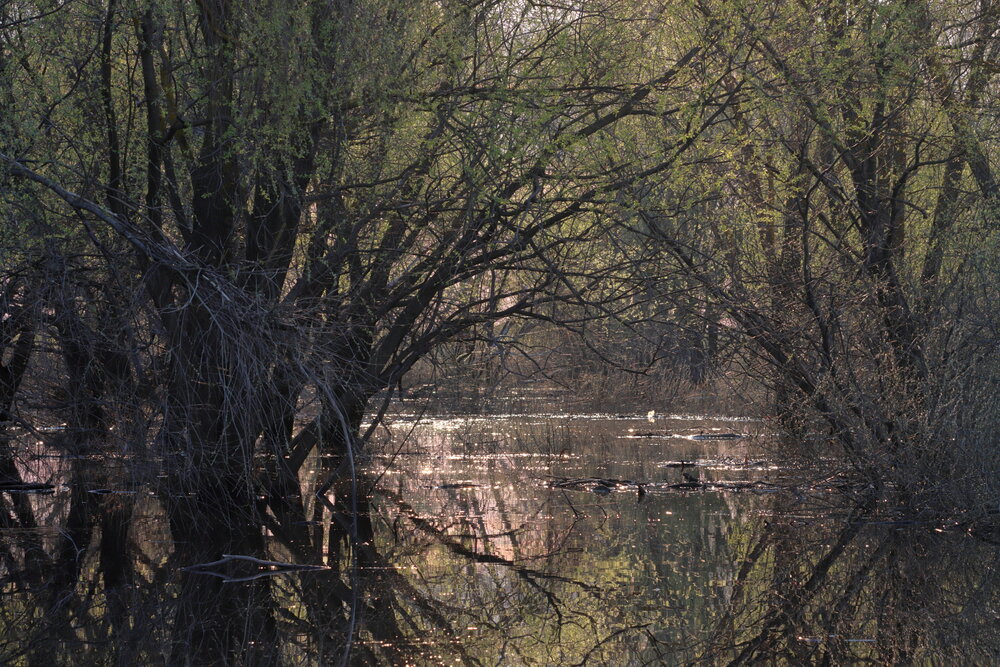 Photograph by Михаил Батурицкий