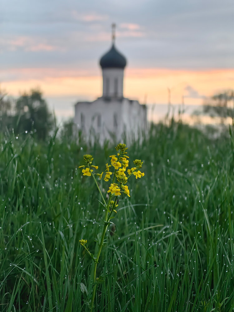 Photograph by Ян