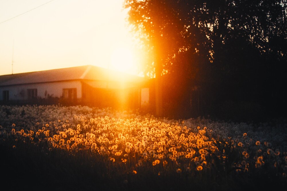 Photograph by Denis Naryshev