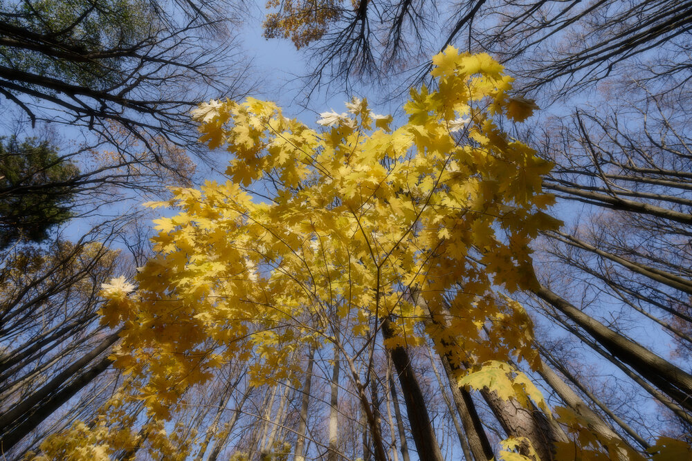 Photograph by Ян