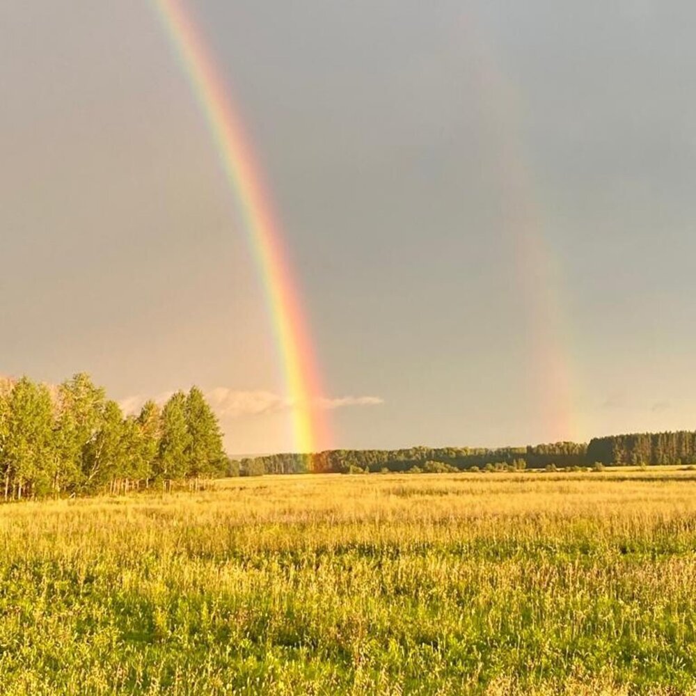 Photograph by Овчинникова Татьяна