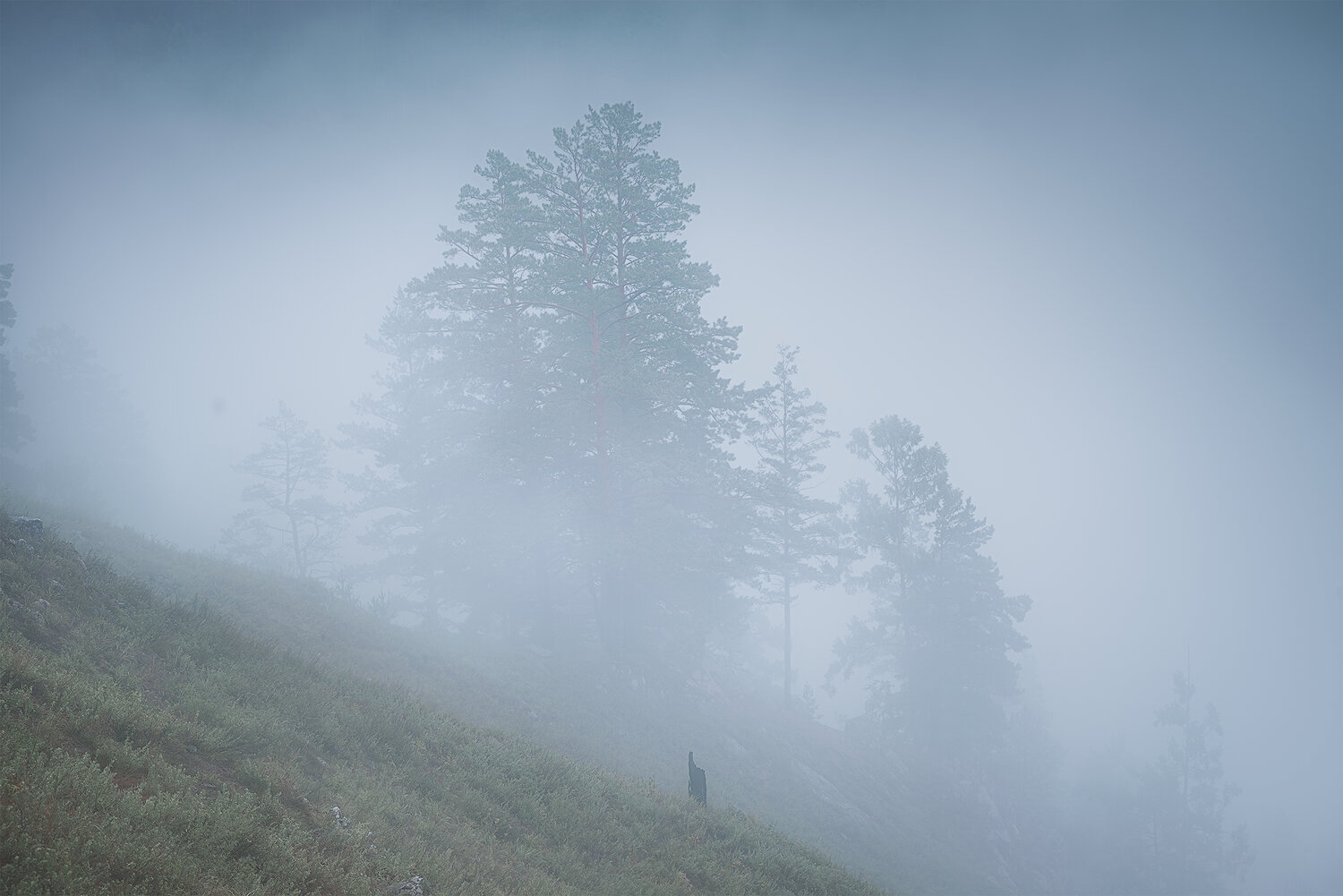 Photo #13832889