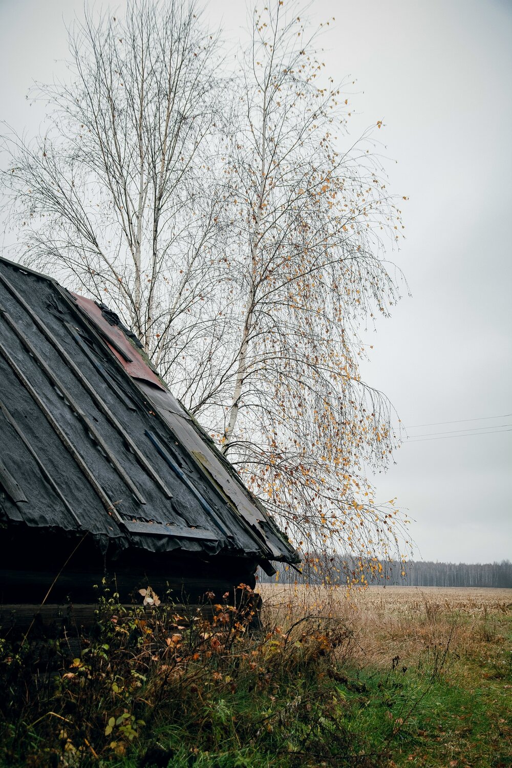 Photo #13832890