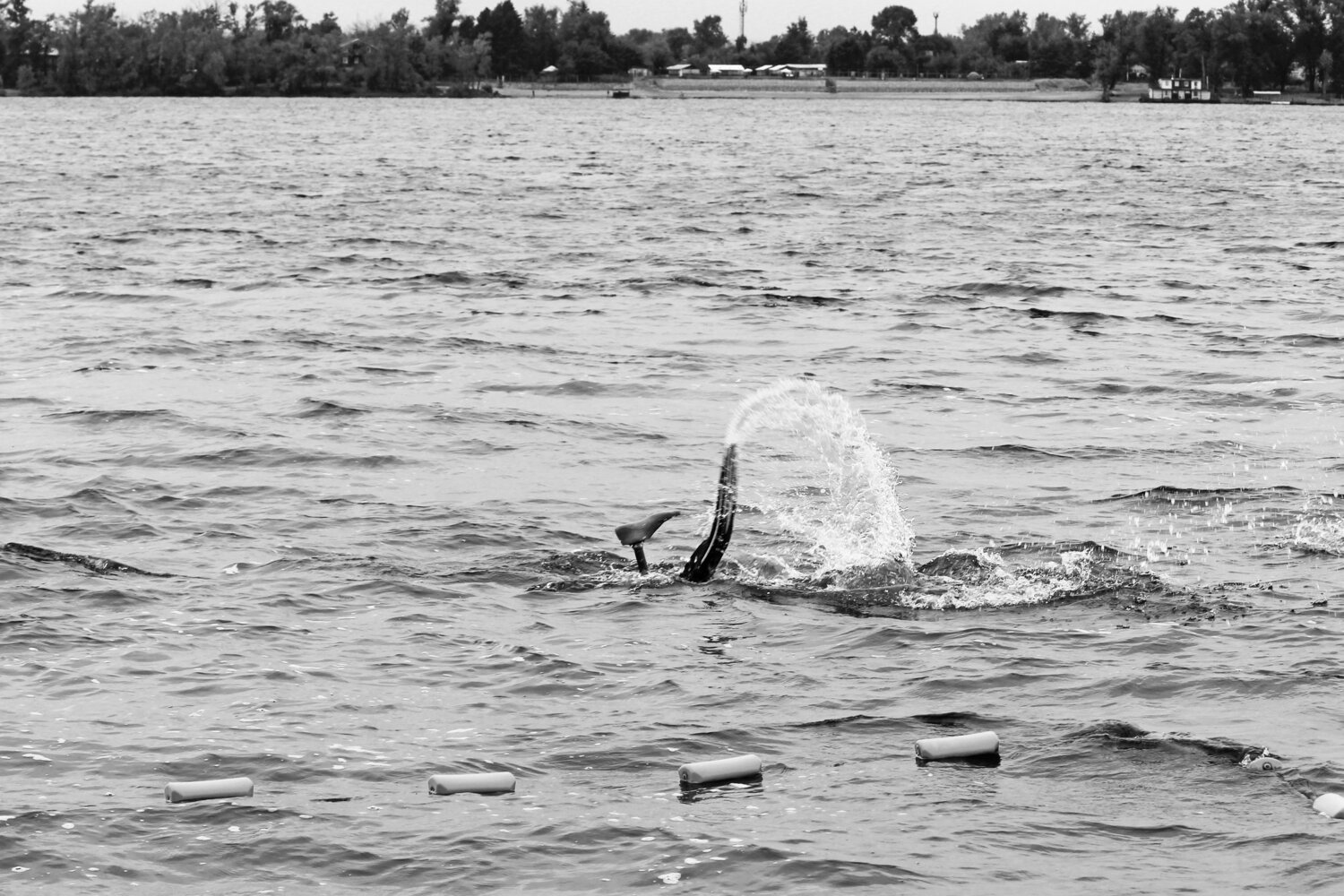 Photo #13832917