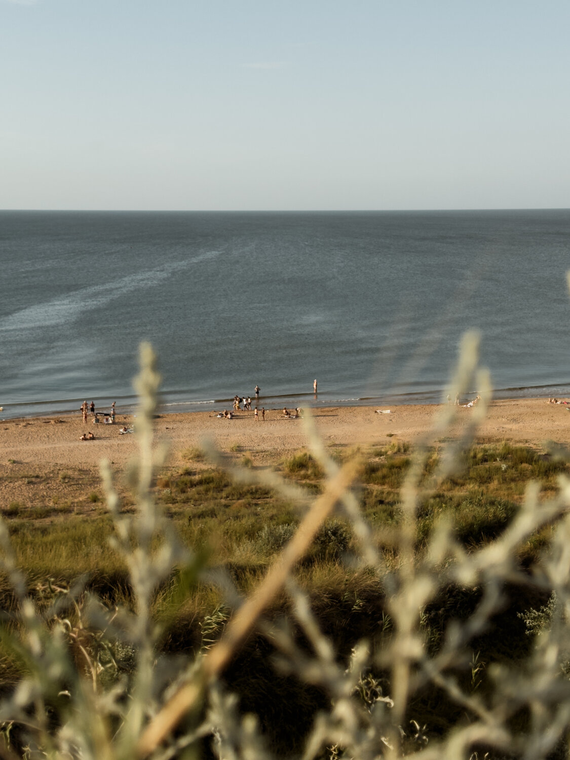 Photo #13832962