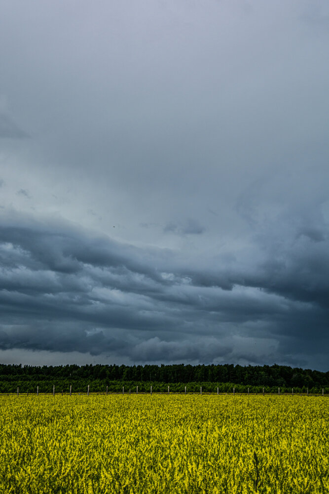 Photograph by Света Назарова