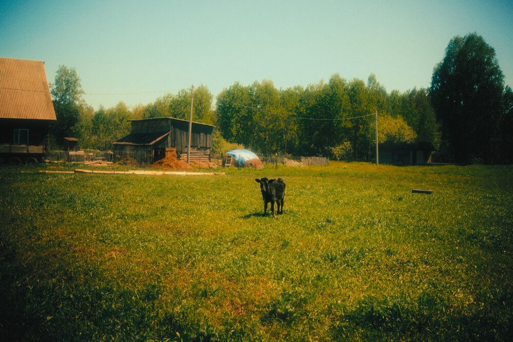 Photograph by Denis Naryshev