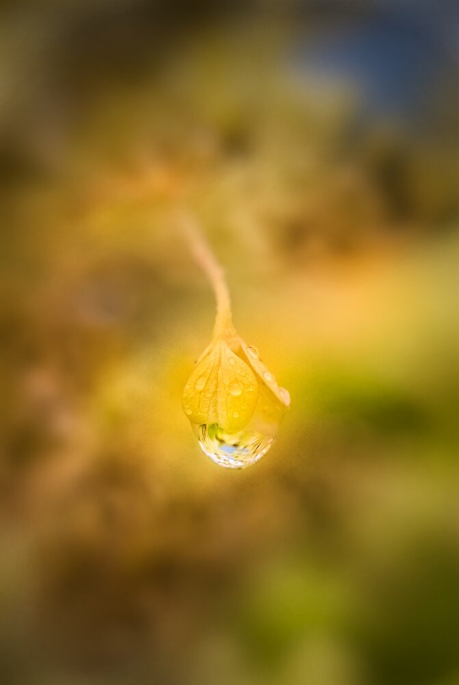 Photograph by Tatiana Kirillova