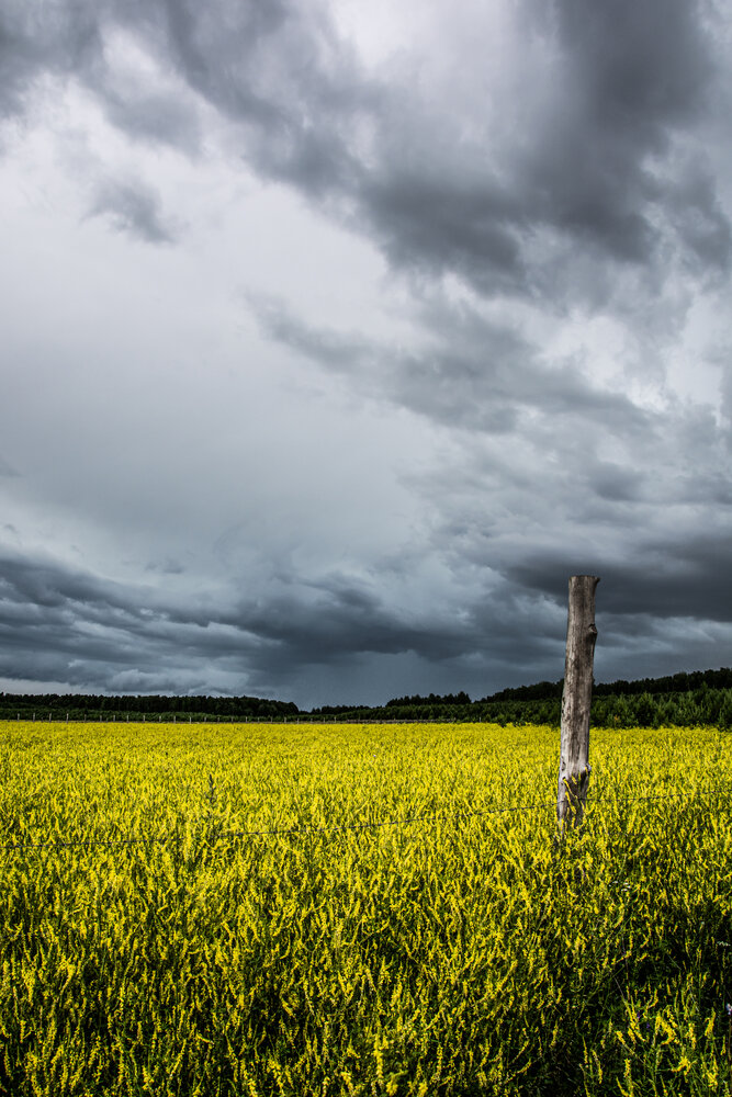 Photograph by Света Назарова