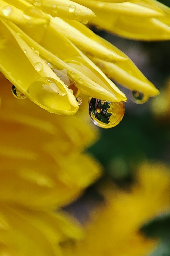 Photograph by Аліна Слишик