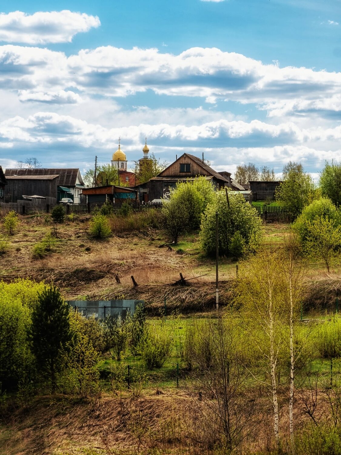 Photo #13833147