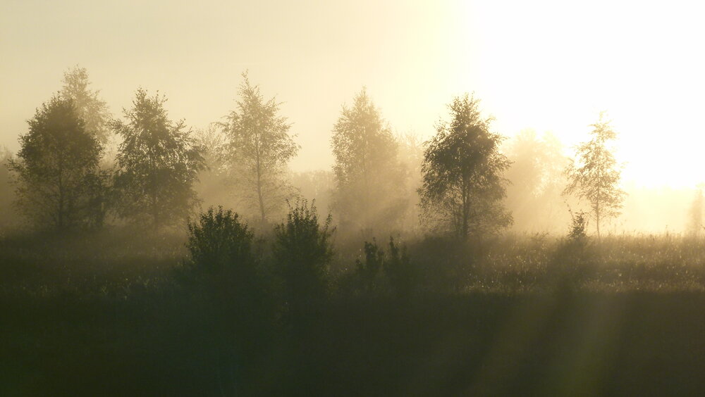 Photo #13833159