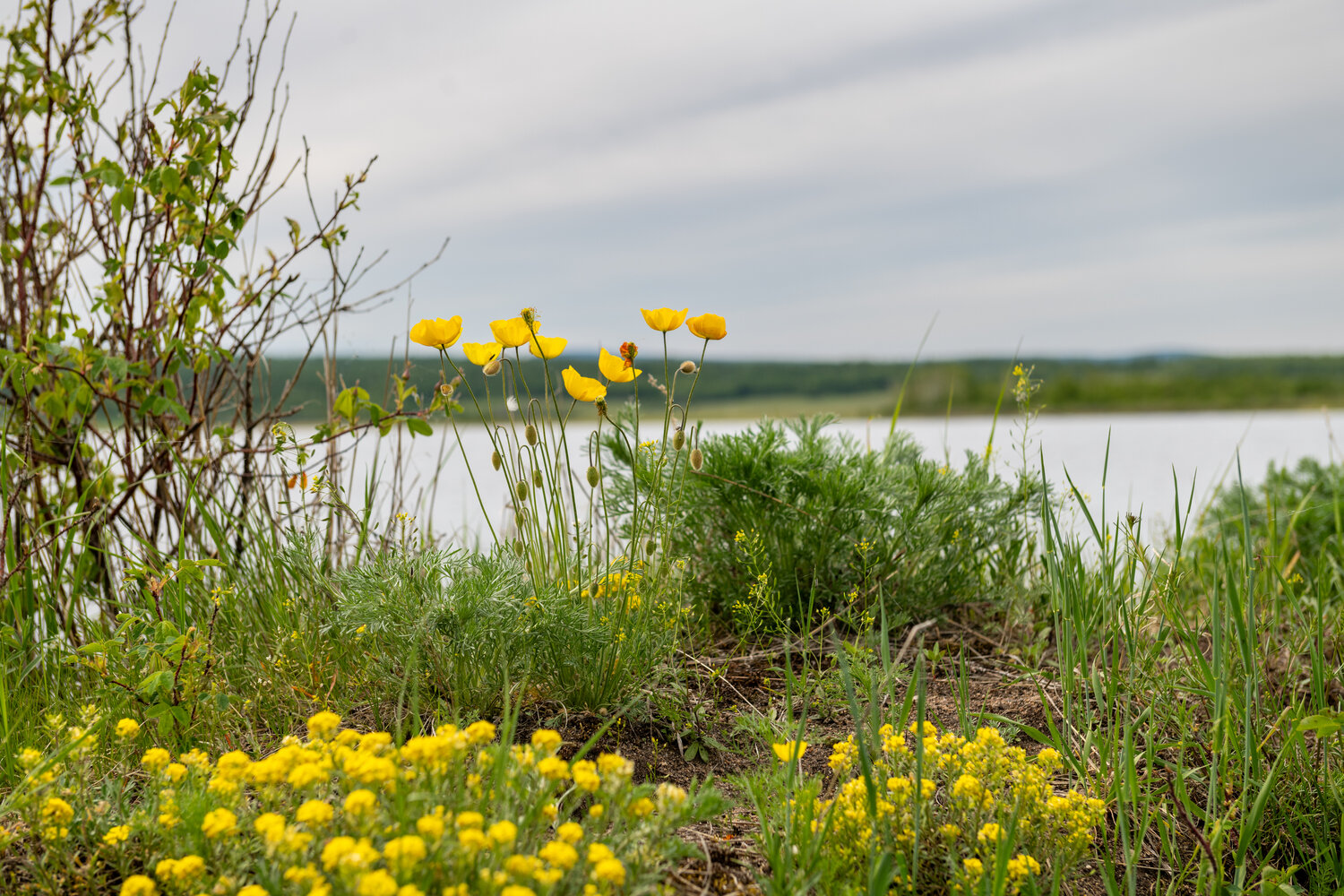 Photo #13833170