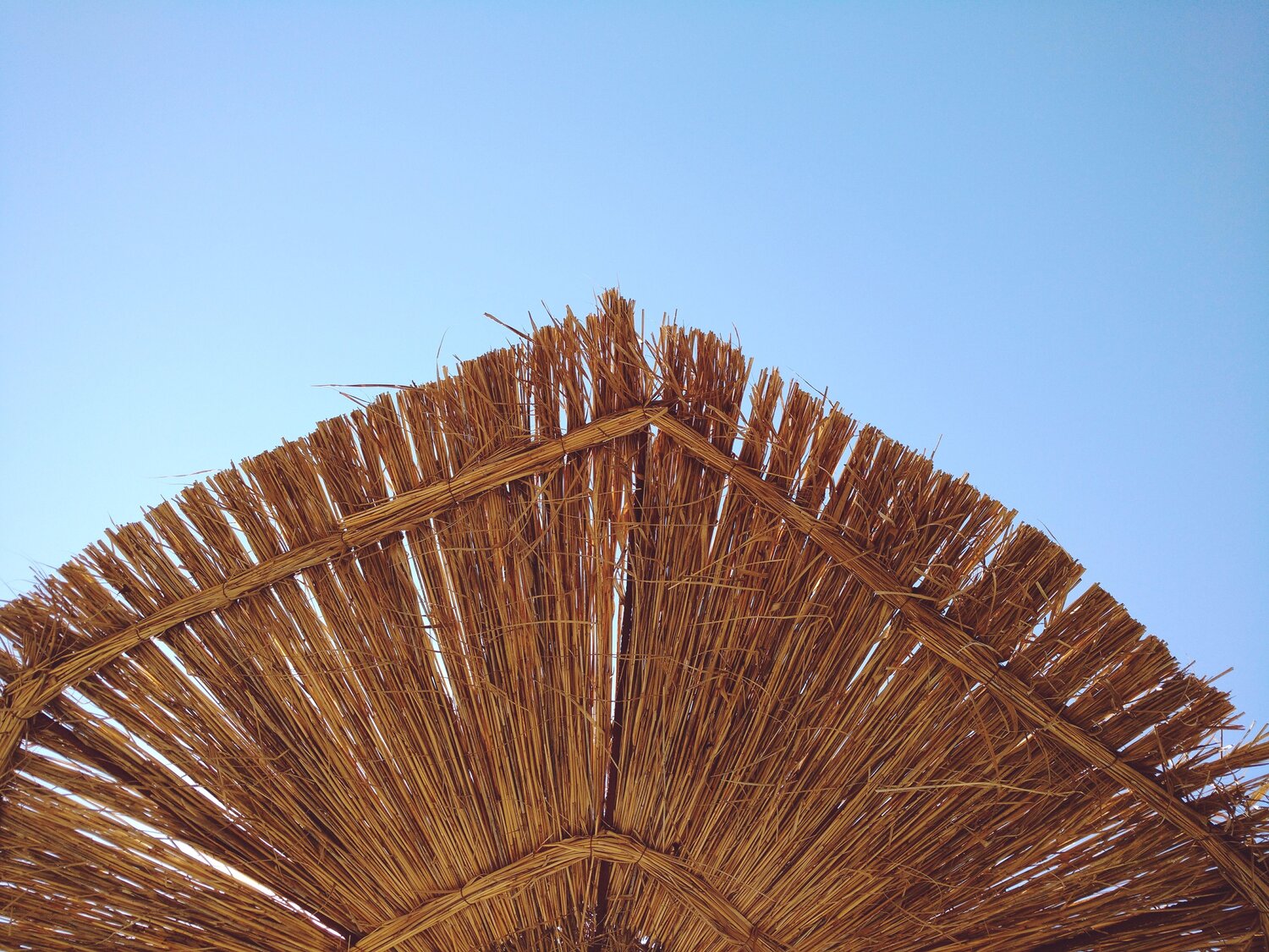 Photo #13833172