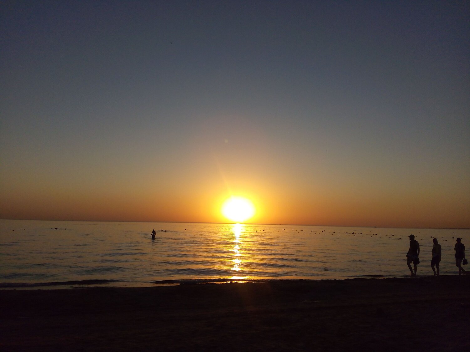 Photo #13833194