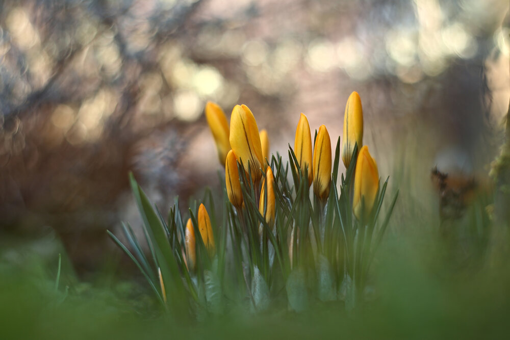 Photograph by Колобошников Эдуард
