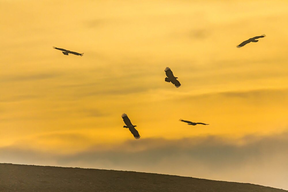 Photograph by Волынский Виктор