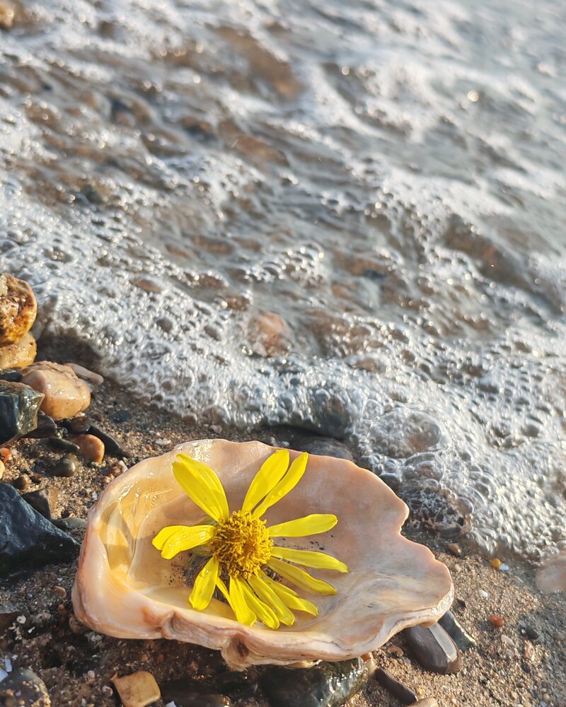 Photograph by Екатерина Степанова