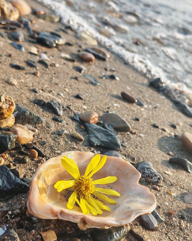 Photograph by Екатерина Степанова