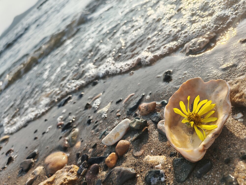 Photograph by Екатерина Степанова