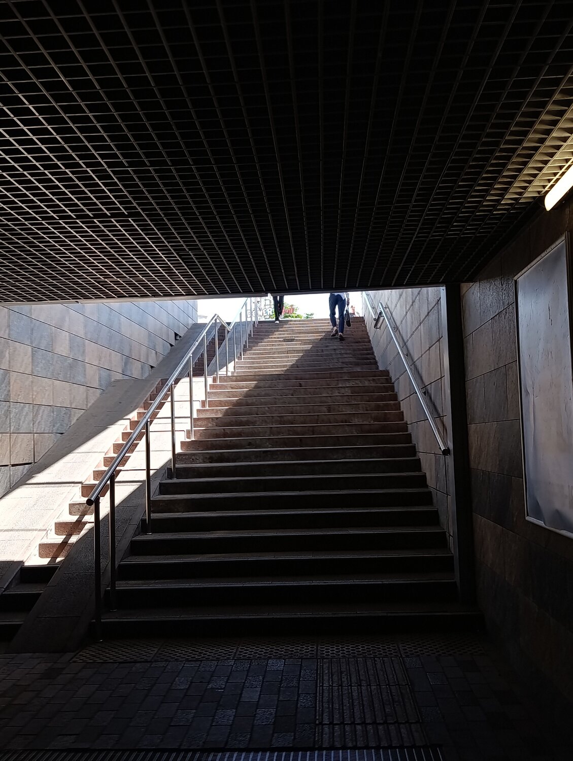 Photo #13833423