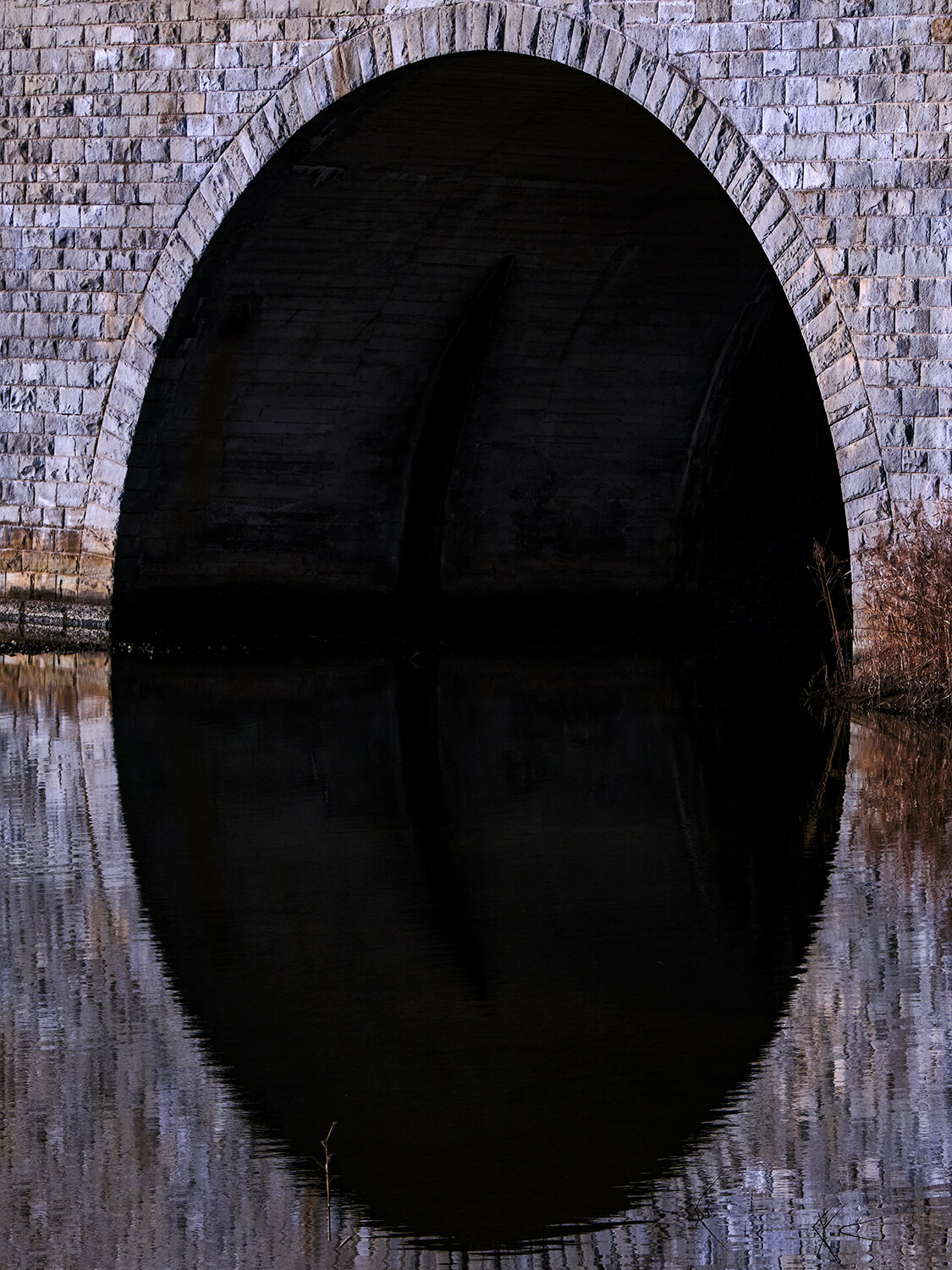 Photo #13833435