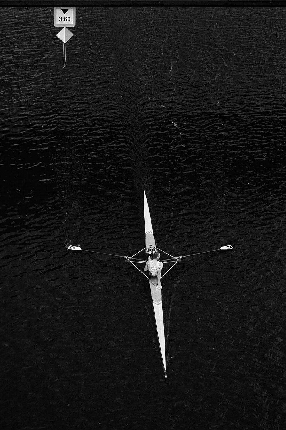 Photo #13833440