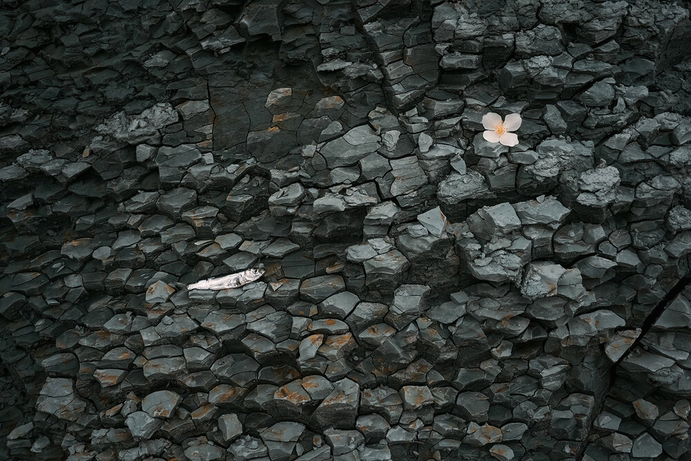 Photograph by Kuisma Sergei