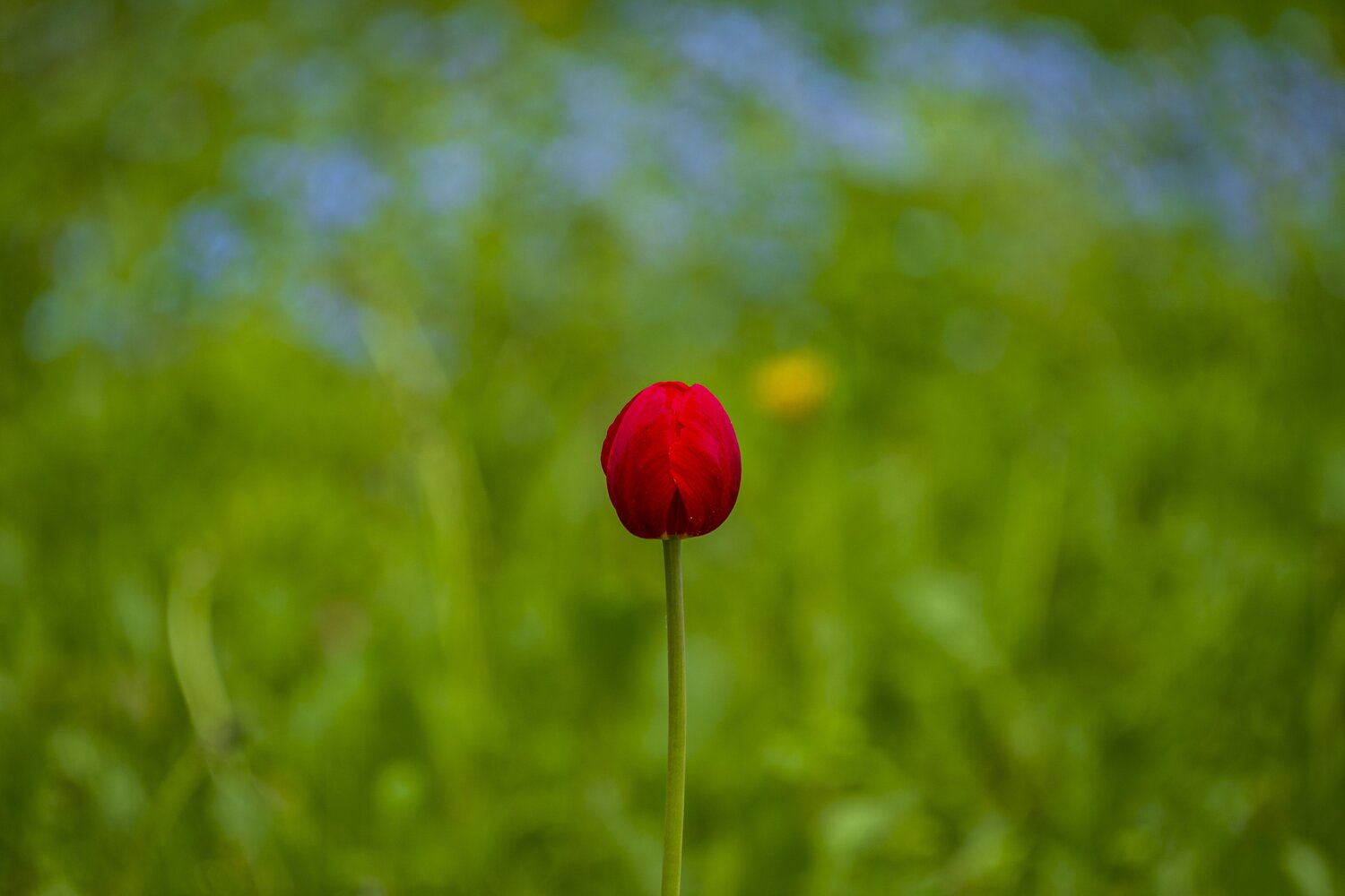 Photo #13833475