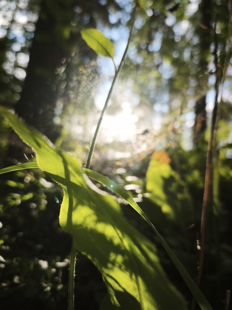 Photograph by Ирина Лаптева