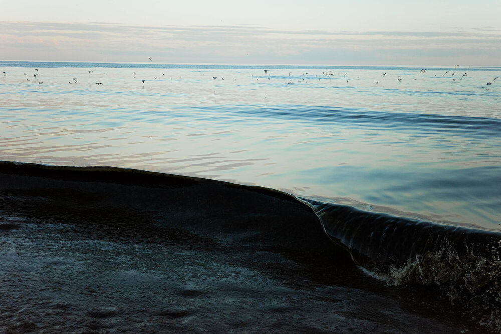 Photo #13833506