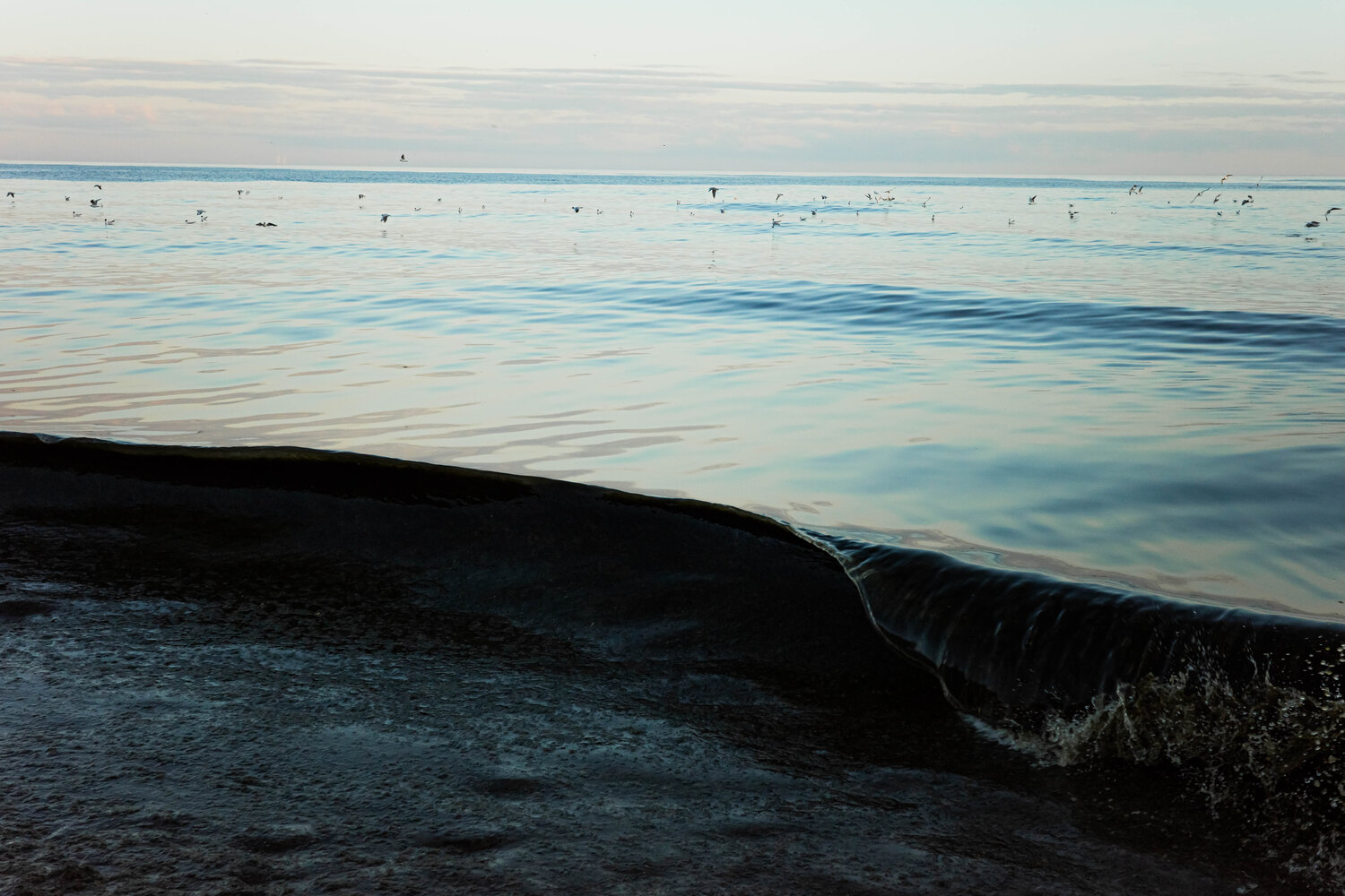 Photo #13833506