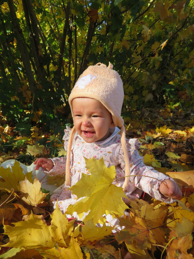 Happy Child Playing With Golden Leaves