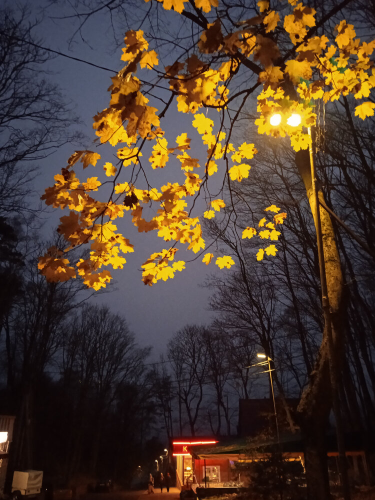 Photograph by vera