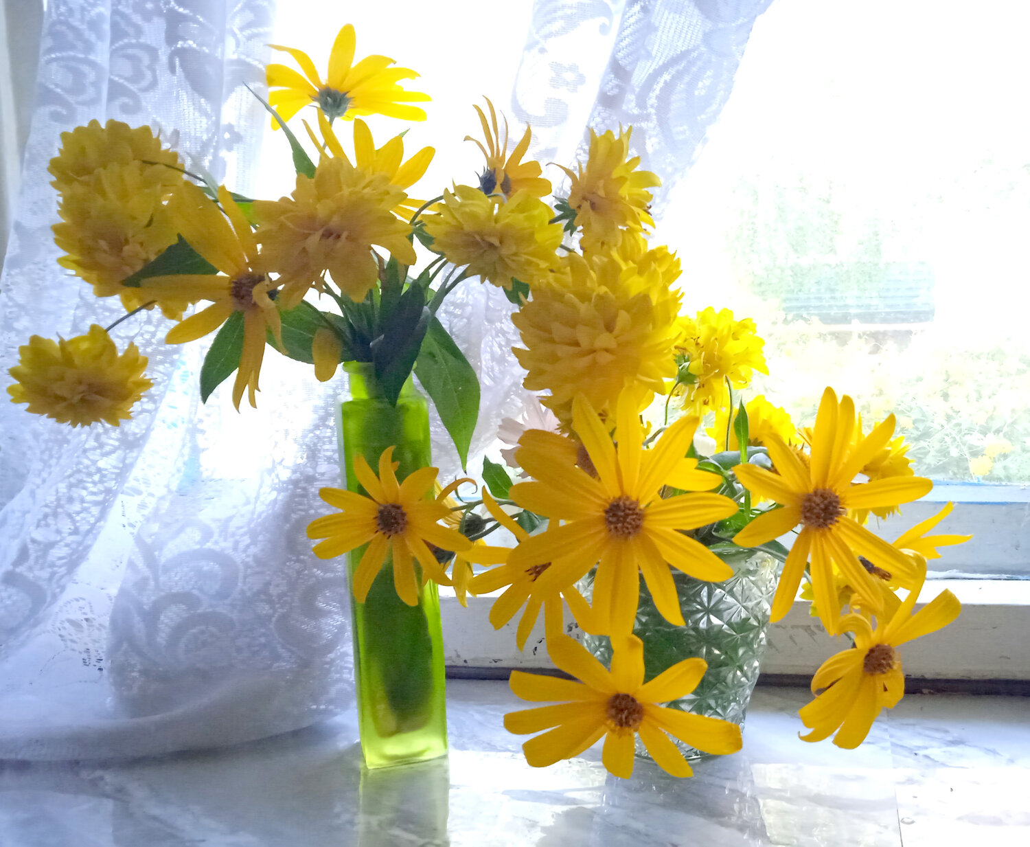 Photo #13833521
